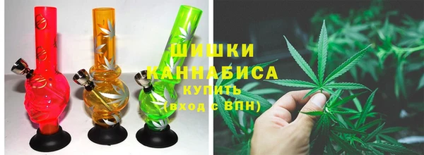 дмт Арсеньев