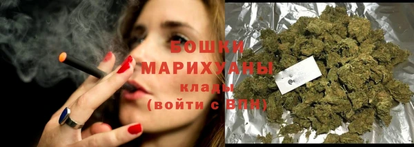 дживик Майский