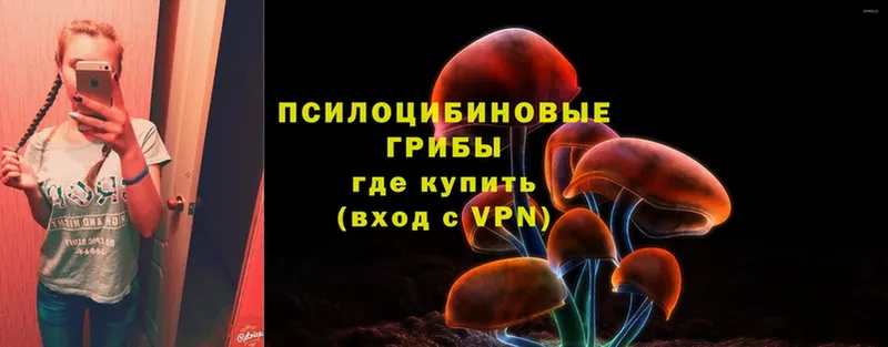 Галлюциногенные грибы Magic Shrooms  ссылка на мегу вход  Канск  shop телеграм  закладки 