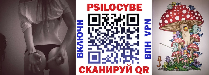 Галлюциногенные грибы Psilocybine cubensis Канск