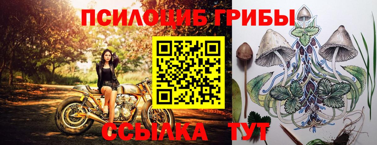Псилоцибиновые грибы GOLDEN TEACHER Канск