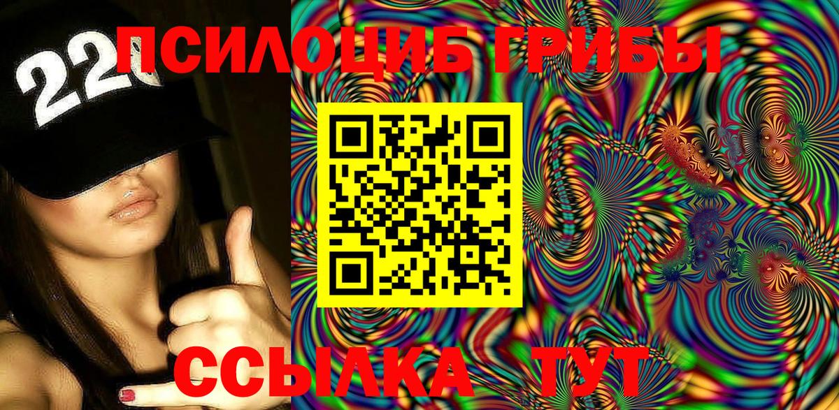 дарнет шоп  Галлюциногенные грибы MAGIC MUSHROOMS  Вход с VPN  Канск 