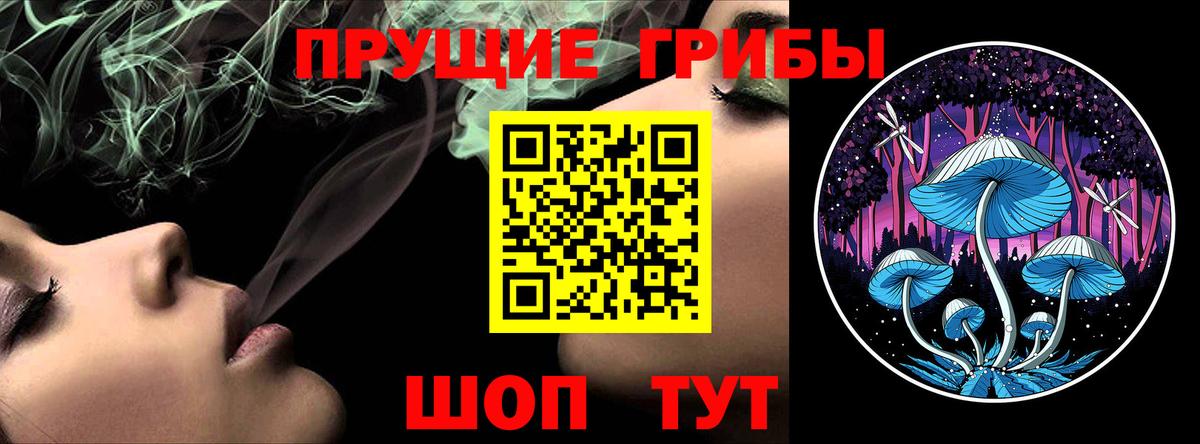 Галлюциногенные грибы прущие грибы  Канск  что такое наркотик  Псилоцибиновые грибы Psilocybine cubensis 